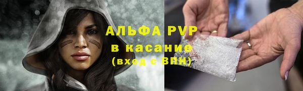 винт Алзамай