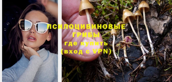 шишки Нефтегорск