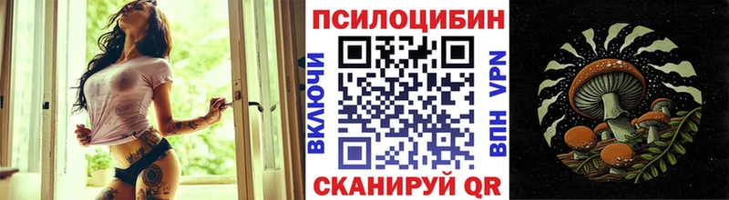 купить   Строитель  Галлюциногенные грибы MAGIC MUSHROOMS 